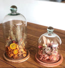 Redoma Cúpula De Vidro Com Base De Madeira Decoração 14x25 - M