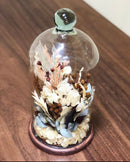 Redoma Cúpula De Vidro Com Base De Madeira Decoração 14X30 - G