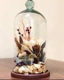 Redoma Cúpula De Vidro Com Base De Madeira Decoração 14X35 - GG