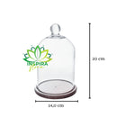 Redoma Cúpula De Vidro Com Base De Madeira Decoração 14x20 - P