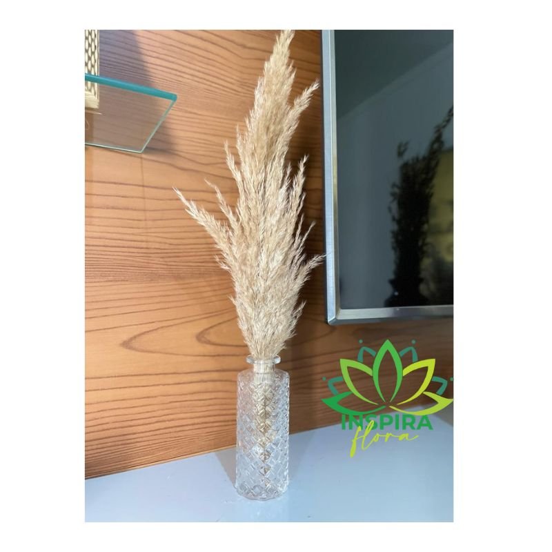 Vaso De Vidro Importado C/pampas 13cm