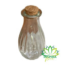 Vaso Garrafa De Vidro C/Pluma Pampas + Tampa Cortiça Rolha