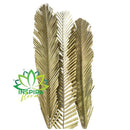 3 Folhas De Palmeira Grossa Trabalhada Alvejada Decoração