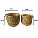 Kit 2 Cestos Vasos Cachepot Taboa Dura Decoração Interiores