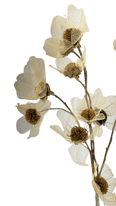 Buquê de Flor com Folha Esqueletizada