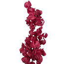 Flor Bouganville Vermelho Desidratada Buque Seco Arranjo Decoração Interiores