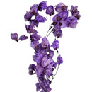 Flor Bouganville Lilás Desidratada Buque Seco Arranjo Decoração Interiores