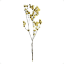 Margarida No Galho Alvejado Desidratado Decoração Arranjo