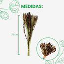 Buquê Casamento Desidratado Marrom e Alvejado Terracota Arranjo Cheio Decoração