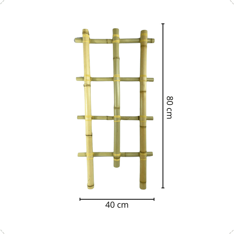 Treliça De Bambu Módulo Decoração 80cm Jardim Vertical Solo