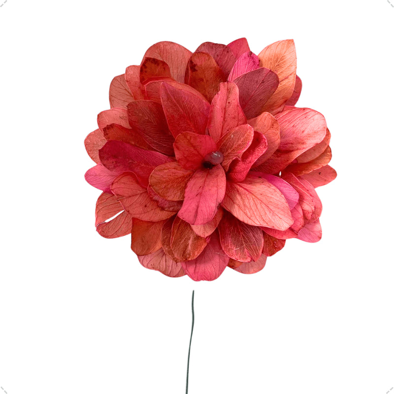 1 Flor de Folha Quina Com Arame Dobrável Desidratada - Rosa