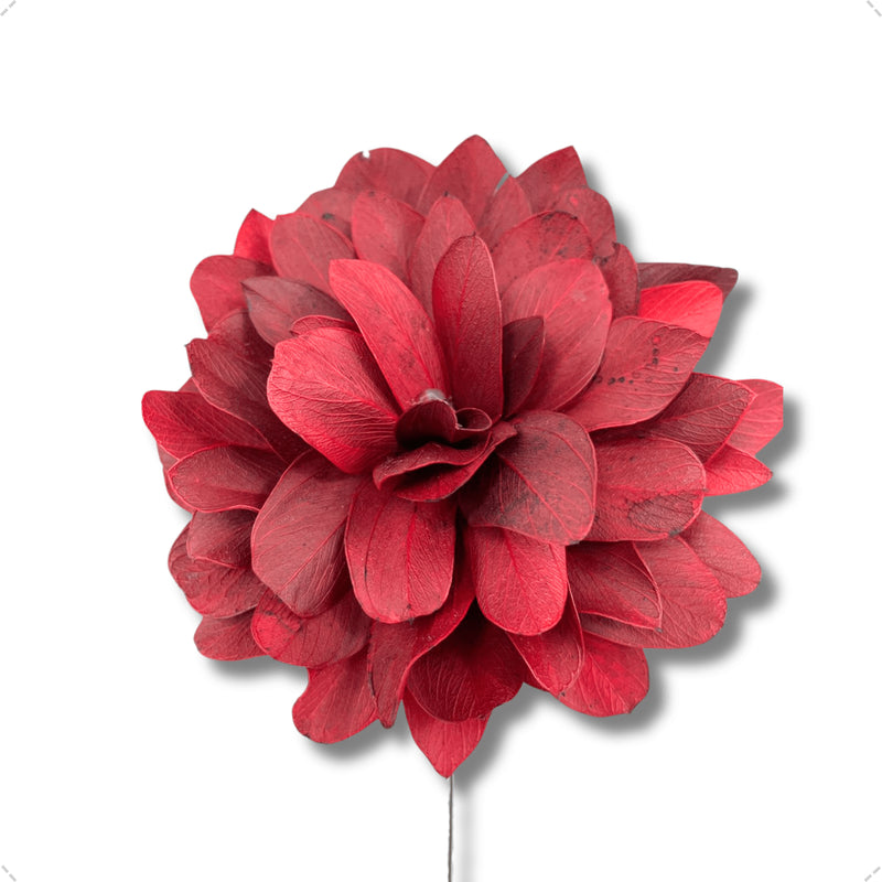 1 Flor de Folha Quina Com Arame Dobrável Desidratada - Vermelho