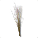 10 Galhos Vime Azuk De Bolinha 1m Desidratado Envelhecido