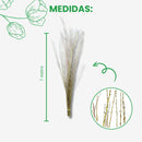 100 Galhos Azuk Secos Vime Bolinha Desidratado Paisagismo