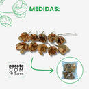 1 Pacote 10 Unidades Flor de Rosa Tefé Desidratado Natural Decoração