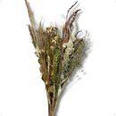 1 Mini Buquê Desidratado Em Cores Terracota 40Cm