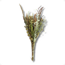 1 Mini Buquê Desidratado Em Cores Terracota 40Cm