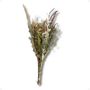 1 Mini Buquê Desidratado Em Cores Terracota 40Cm