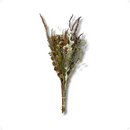 1 Mini Buquê Desidratado Em Cores Terracota 40Cm