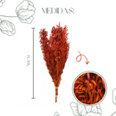 Buquê Capim Licopodium Cores Desidratado Arranjo Decoração