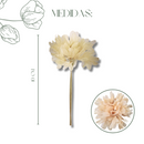 Buquê de Folha de Magnólia Esqueletizada Cores