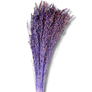 Buquê Flor De Vassoura Vassourinha Desidratado Seco