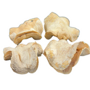 4 Casca Boca De Sapo Semente Enfeite Decorações Alvejada