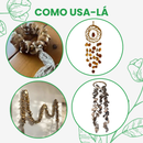 4 Casca Boca De Sapo Semente Enfeite Decorações Alvejada