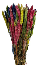 Buque Rabo De Gato Colorido Celosia Maço Flores Desidratadas