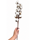 1 Unidade Haste De Algodão Artificial Decorativo 65 Cm