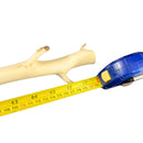 Kit 3 Galhos Brancos Desidratados 1,25m Corkscrew Willow