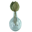 Vaso Garrafa Berna De Vidro E Mini Latania Decoração Luxo