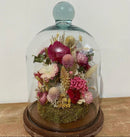 Redoma Cúpula De Vidro Com Base De Madeira Decoração 14x20 - P