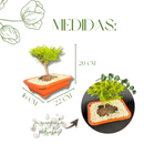 Bonsai Prateado Natural Planta Ornamental Em Vaso Decorativo