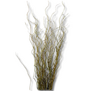 Kit 20 Galhos Seco Vime Torto 1 Metro