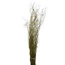 Kit 100 Galhos Seco Vime Torto 1 Metro