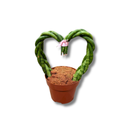 Sansevieria Trançada Coração Planta Natural Decorativa Casa