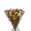 Buquê De Margarida Colorida Desidratada 60cm Flores Secas