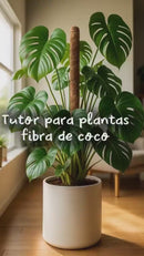 Tutor De Coco Flexível Plantas Sustentação Ecológico Natural