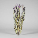 Buque Protea Safari Natural Desidratada 5 Haste Flor Seca Natural para Decoração