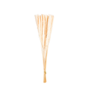 Mini Pampas Pluma Grass Desidratado 70cm Hastes Naturais