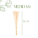 Mini Pampas Pluma Grass Desidratado 70cm Hastes Naturais