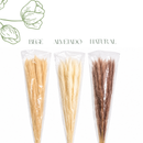 Mini Pampas Pluma Grass Desidratado 70cm Hastes Naturais