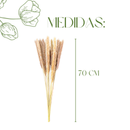 Mini Pampas Pluma Grass Desidratado 70cm Hastes Naturais