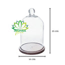 Redoma Cúpula De Vidro Com Base De Madeira Decoração 14x25 - M